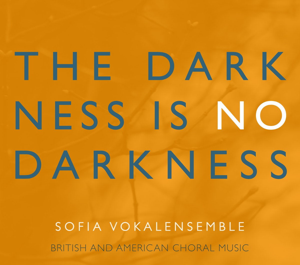 Omslag till The Darkness Is No Darkness